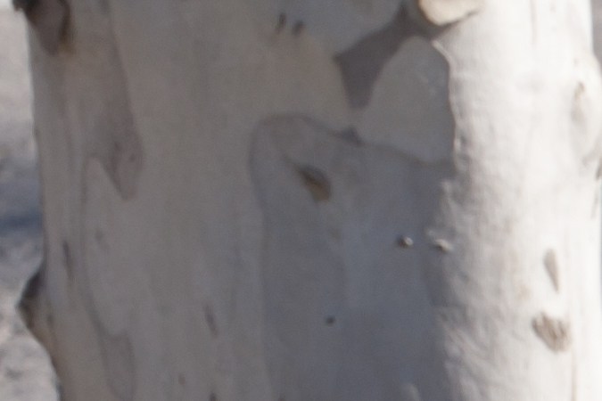 errores de radar en las multas por exceso de velocidad