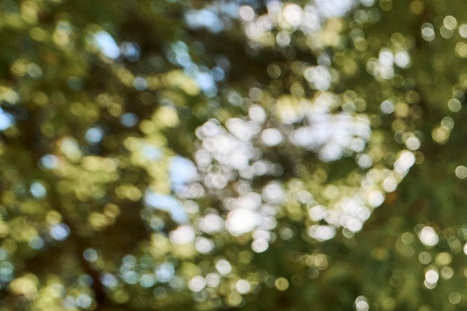 nueva toyota land cruiser prado 2024