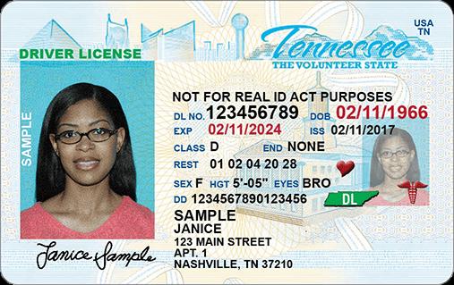 licencia de conducir en TN