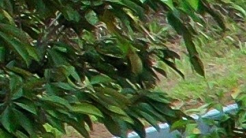 sobrevivir baches carretera