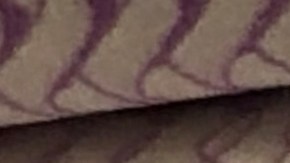 Licencia de conducir o ID con foto en New York