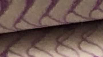 Licencia de conducir o ID con foto en New York