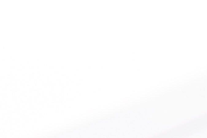 título salvage export only Qué significa 