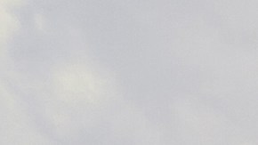 modelos de autos con mayor cantidad de DUI