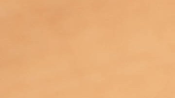 licencia de conducir con itin