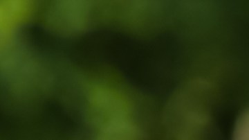 El parasol para carros que nunca deberías usar