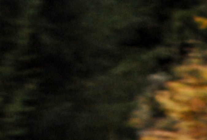 Dodge Charger: el legendario Muscle Car americano