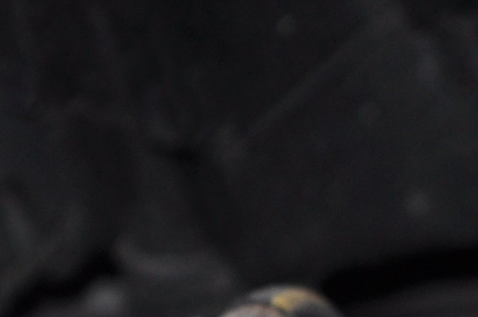 Qué hacer si se sulfatan los bornes de la batería