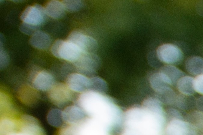 licencia de conducir digital de California