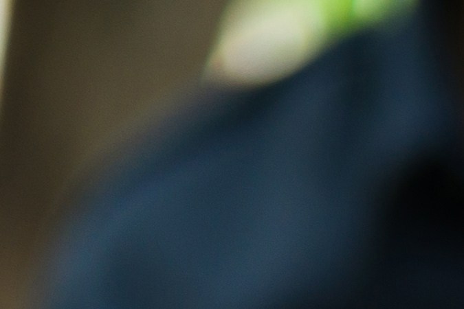 Los dos estados más duros con los conductores sin licencia