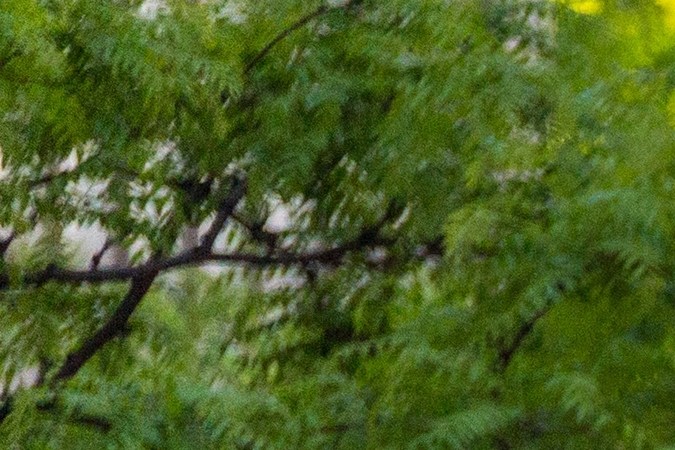 intersecciones de tránsito mortales Estados Unidos