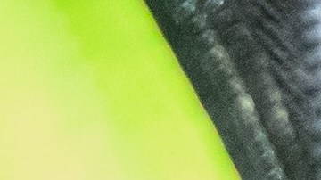 Los dos estados más duros con los conductores sin licencia