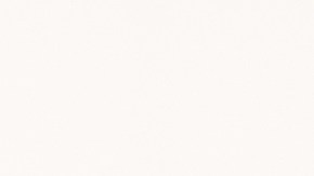 licencia de conducir para indocumentados en colorado