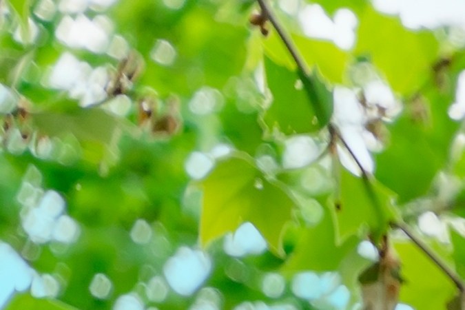 cuarta luz en los semáforos