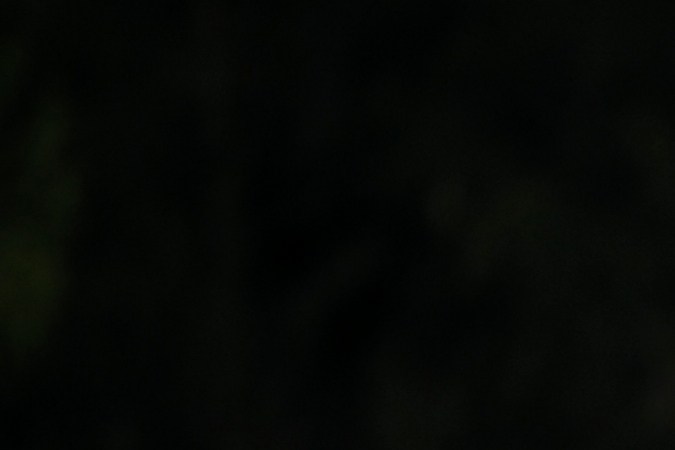 Campeonato Mundial de Resistencia: Qué carros corren ahí