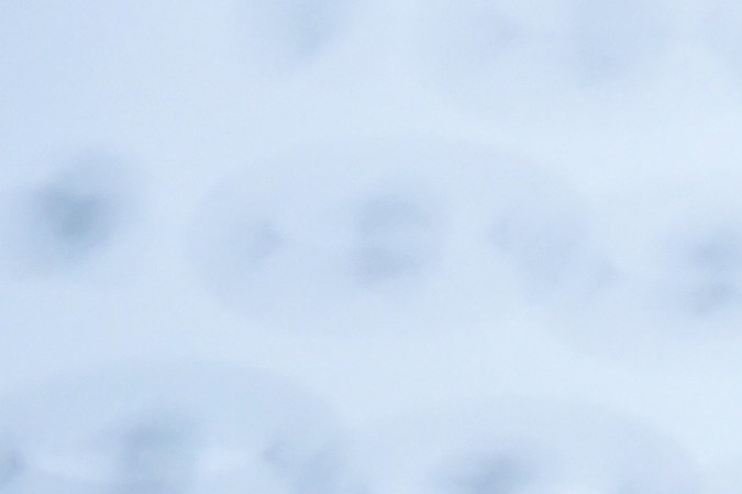 estados más difíciles para aprobar un examen de conducir