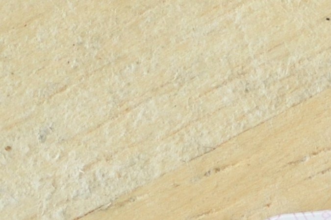 licencia sin seguro social