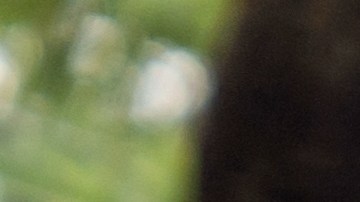 cuánto se devalúa un auto eléctrico