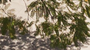 intersecciones de tránsito mortales Estados Unidos