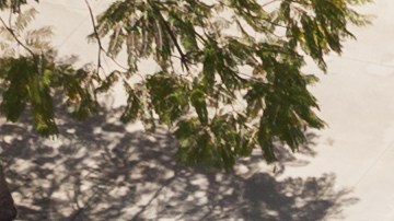 intersecciones de tránsito mortales Estados Unidos