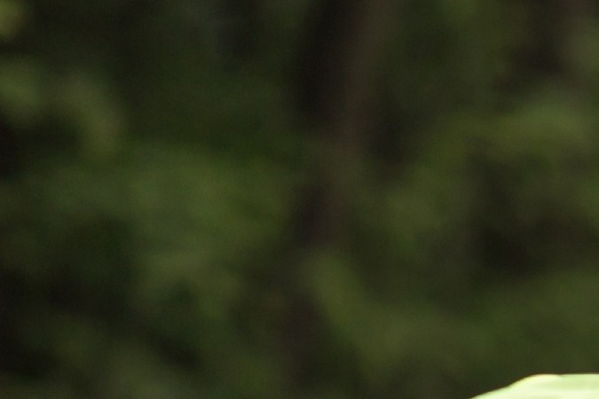 que pasa si soy inmigrante y me chocan en estados unidos