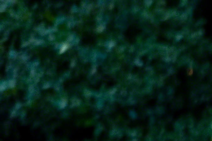 licencias de conducir illinois para adultos mayores