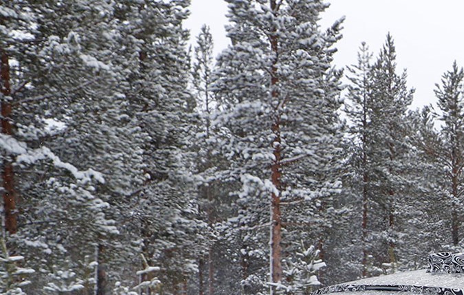 Autos que fueron cancelados y se evitó su producción en masa