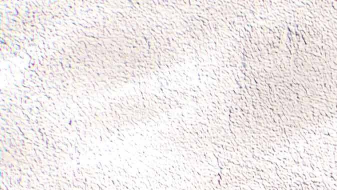 Kia EV3 llegará a Estados Unidos en 2025