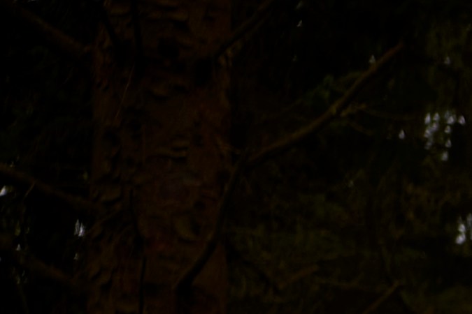 Ford Mustang Mach-E Rally