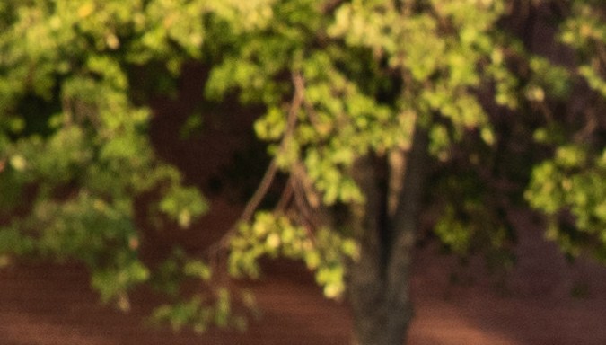 Qué es Ford Mustang Dark Horse 2024: misterio y potencia en un solo envase