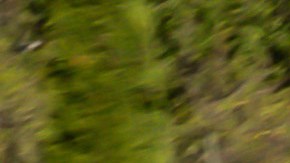 Retraso estratégico: Volkswagen y su precaución ante el Tesla Model 3