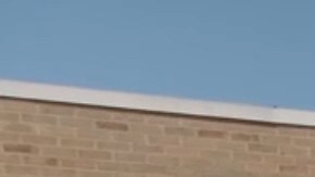 Honda prueba hidrógeno en camiones