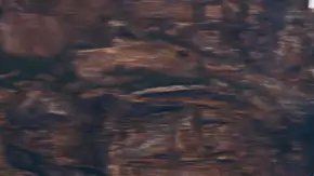 Honda CR-V Hybrid 2024: