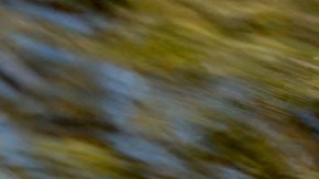 “Un nuevo punto de vista” la campaña de Hyundai para los latinos