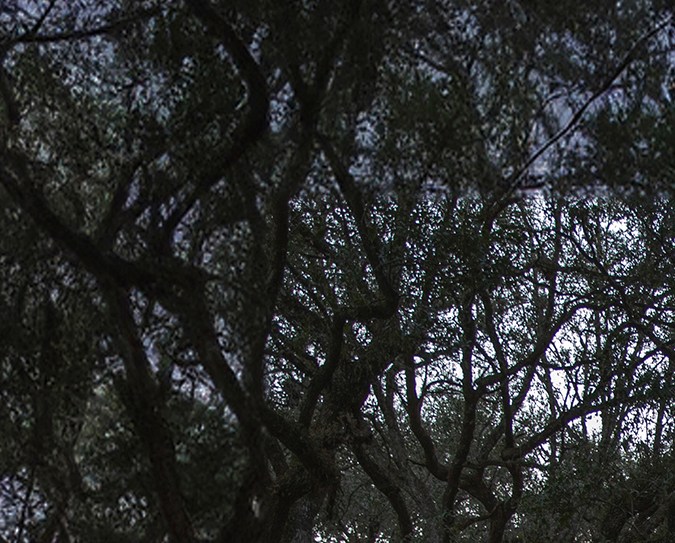 “Un nuevo punto de vista” la campaña de Hyundai para los latinos