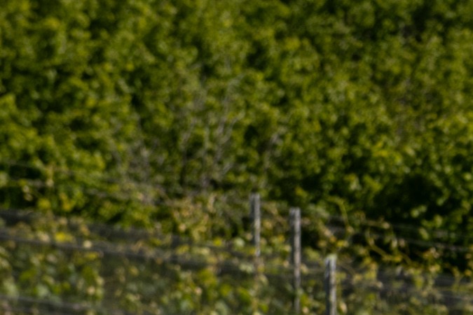 Lancia revive con su nuevo modelo Ypsilon