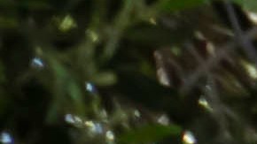 Máxima utilización del espacio con un tamaño mínimo combinado con un concepto de conducción moderno.