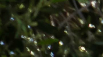 Máxima utilización del espacio con un tamaño mínimo combinado con un concepto de conducción moderno.