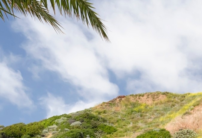 Volkswagen ID 2025 Buzz