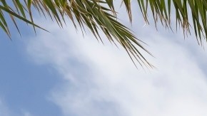 Volkswagen ID 2025 Buzz