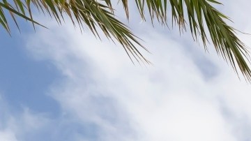 Volkswagen ID 2025 Buzz