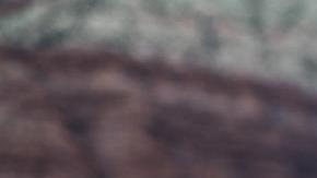 BFGoodrich evoluciona sus nuevos neumáticos All-Terrain T/A KO3