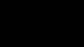 Evita accidentes: el peligroso error de cambio de marcha que debes conocer