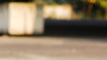 ¿Eres fanático de los motores ruidosos? La ciencia revela tu personalidad