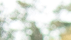 Cosas que debes saber sobre las baterías de los autos híbridos