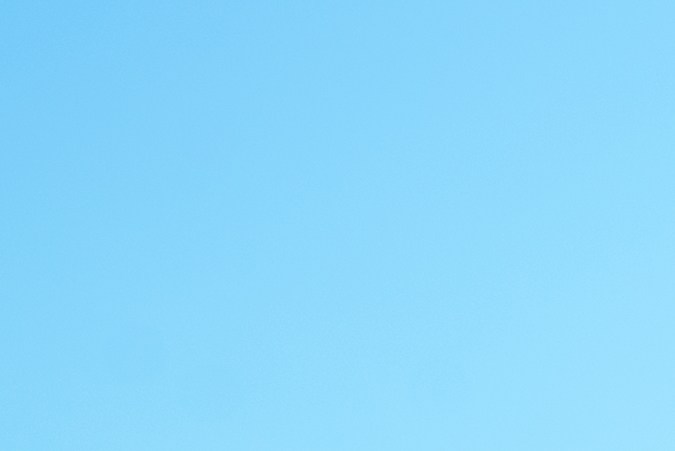 cambio de género licencia de conducir florida