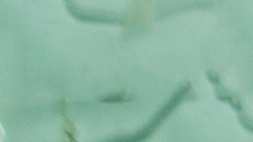 por qué el parabrisas de un auto es tan resistente