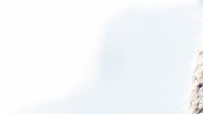 Autos más robados en USA: dos marcas virales lideran la lista