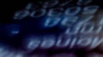 cambio de género licencia de conducir florida