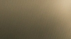 licencia de conducir generación z